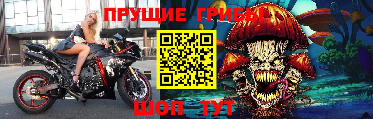 Псилоцибиновые грибы мухоморы  наркошоп  Ростов Великий  Вход с VPN 